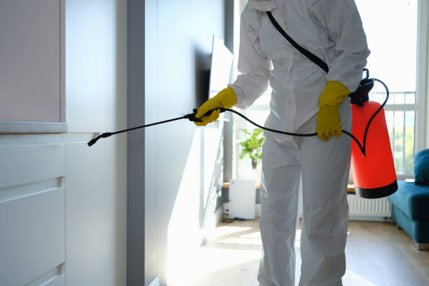 Best Mold Testing  in Mirrormont, WA