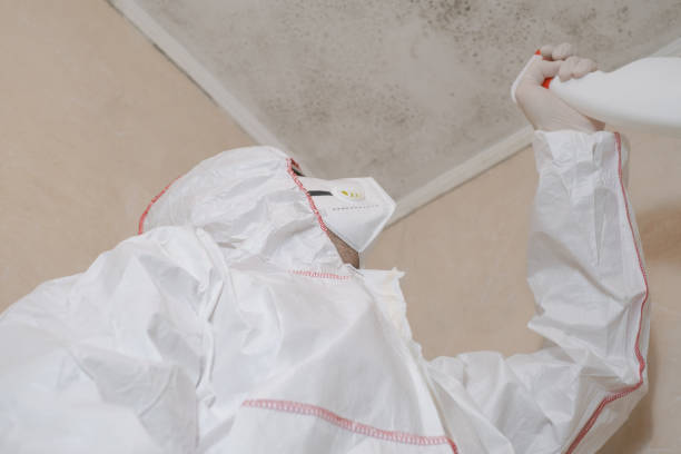 Best Mold Cleaning Services  in Mirrormont, WA