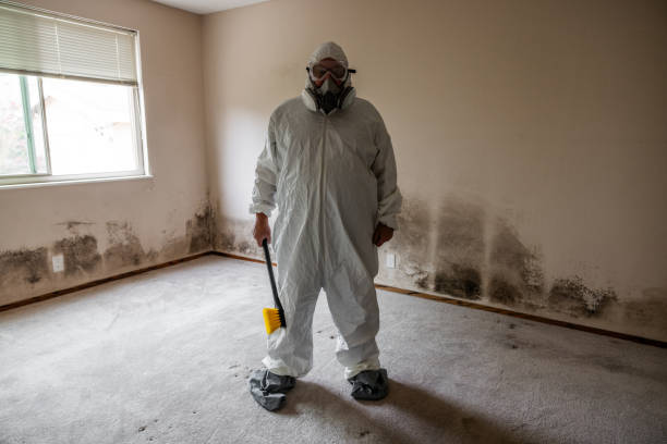 Best Office Mold Removal Services  in Mirrormont, WA
